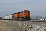 BNSF 4223